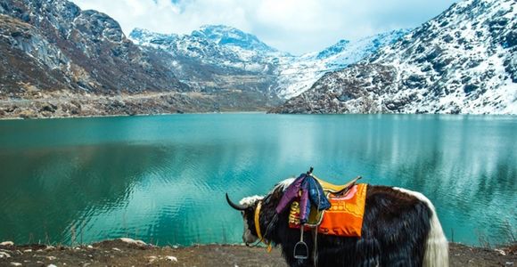 Gangtok With Darjeeling Sikkim Package Book Now